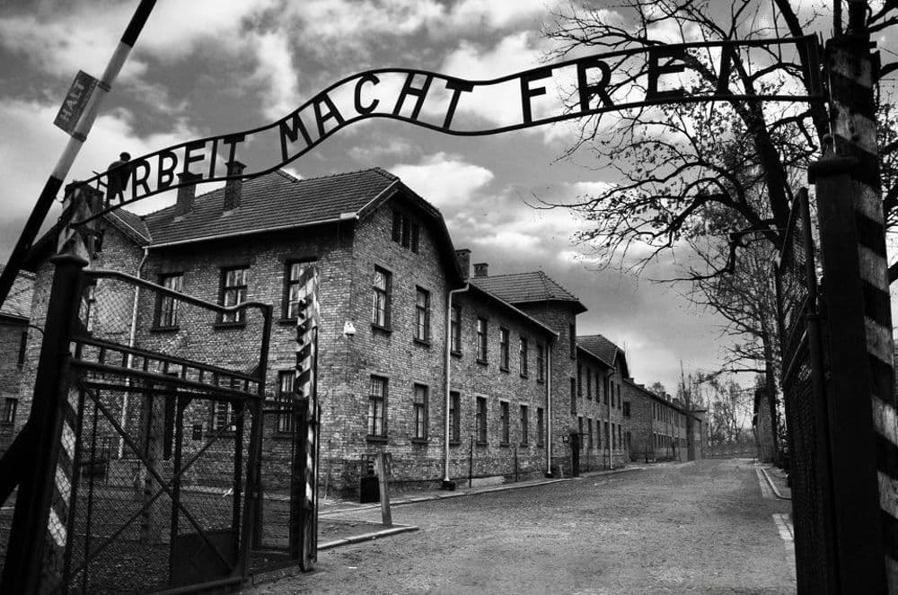 Giornata della Memoria 2026: eventi e cerimonie istituzionali per ricordare la Shoah