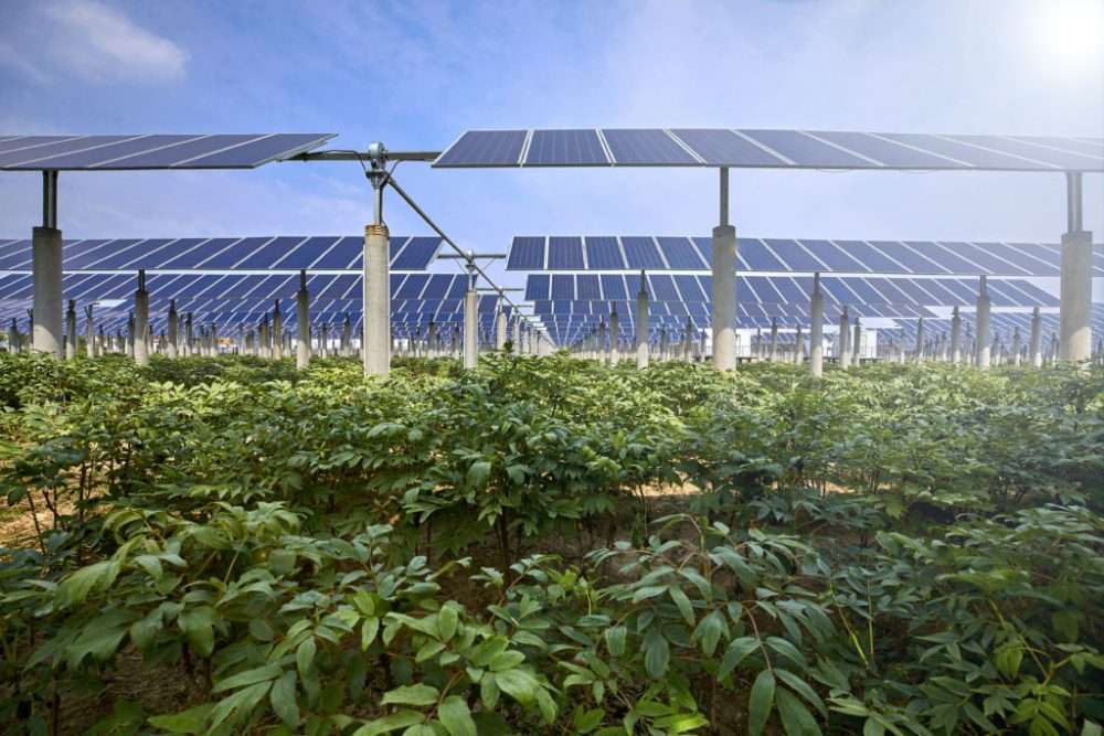 L’agricoltura rigenerativa cresce del 40% in Italia: boom in Toscana e Puglia