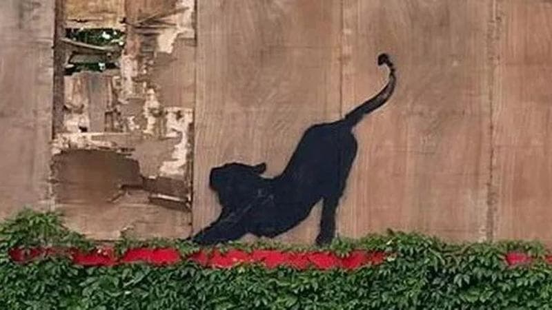 Banksy e il nuovo “London Zoo”: cosa c’è dietro le nuove opere dell’artista