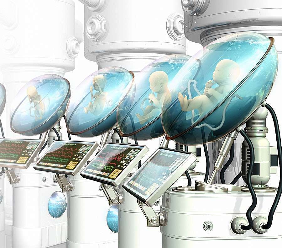 Biologia sintetica, la Renewal Bio sta facendo esperimenti per produrre embrioni artificiali in uteri meccanici