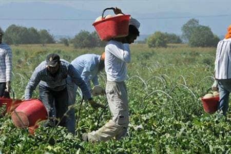 Morto un altro bracciante agricolo nell’Agro-Pontino, si sospetta un malore dovuto al caldo