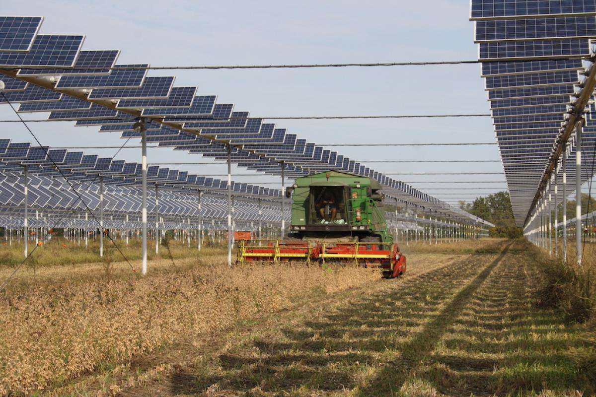 Rinnovabili: l’agrovoltaico è il futuro