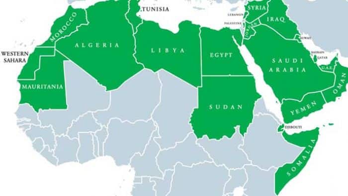 Shoukeir, imporre il modello di democrazia occidentale in M.O. è stato fallimentare. Va cambiata la visione
