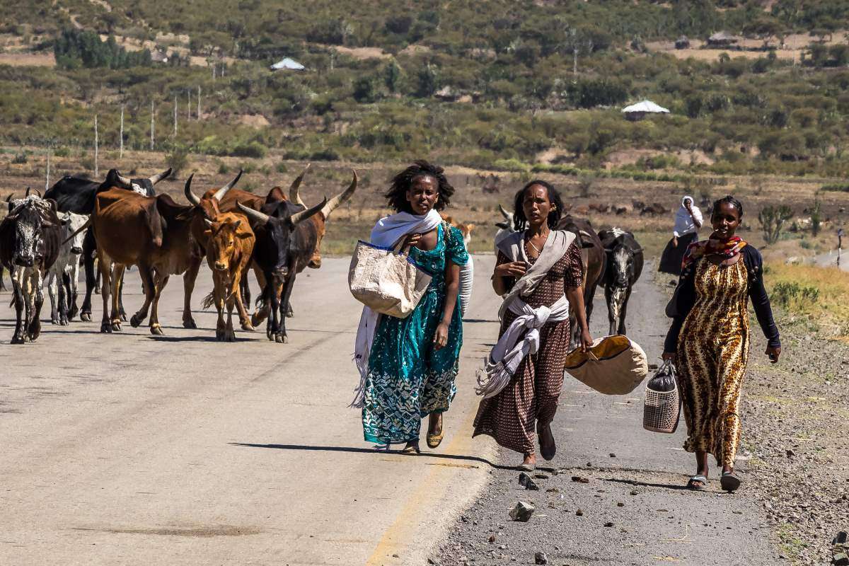 Tigrai: Spurious allegations of rape weaponized in abject disinformation campaign