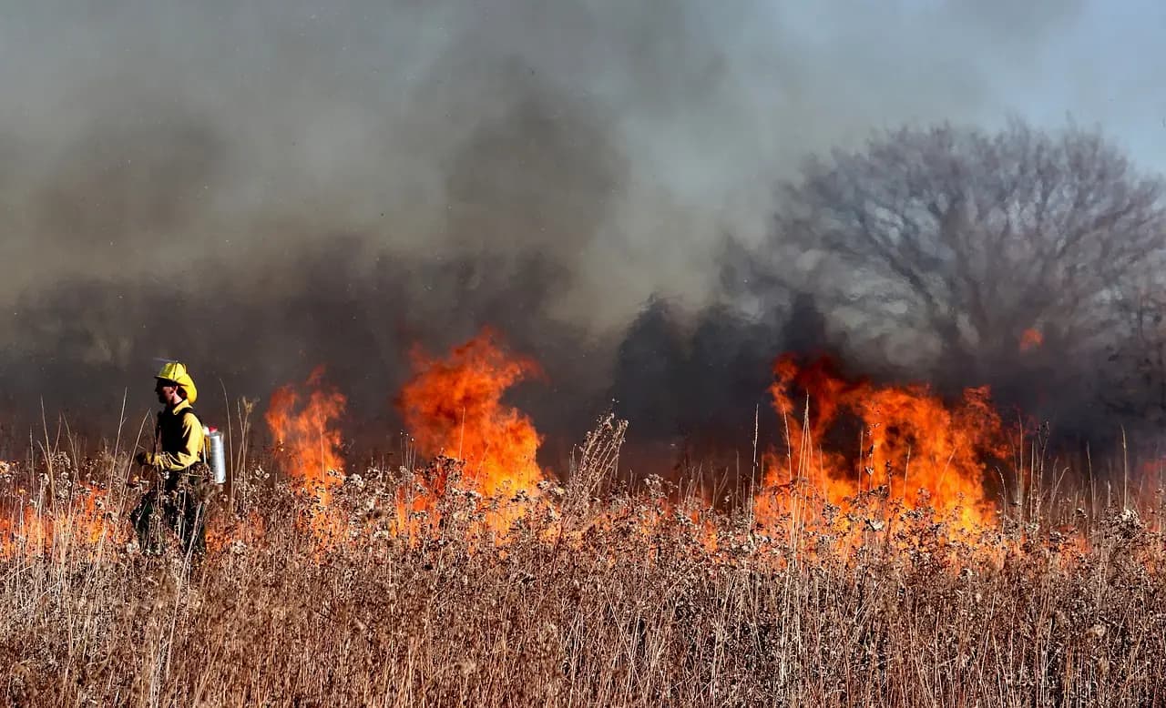 Clima, ogni anno 1,5 milioni di morti per inquinamento da incendi nel mondo
