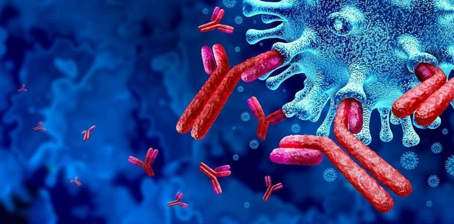Covid-19, anticorpi monoclonali: nuovo report dell’Aifa. L’Oms ne raccomanda l’uso