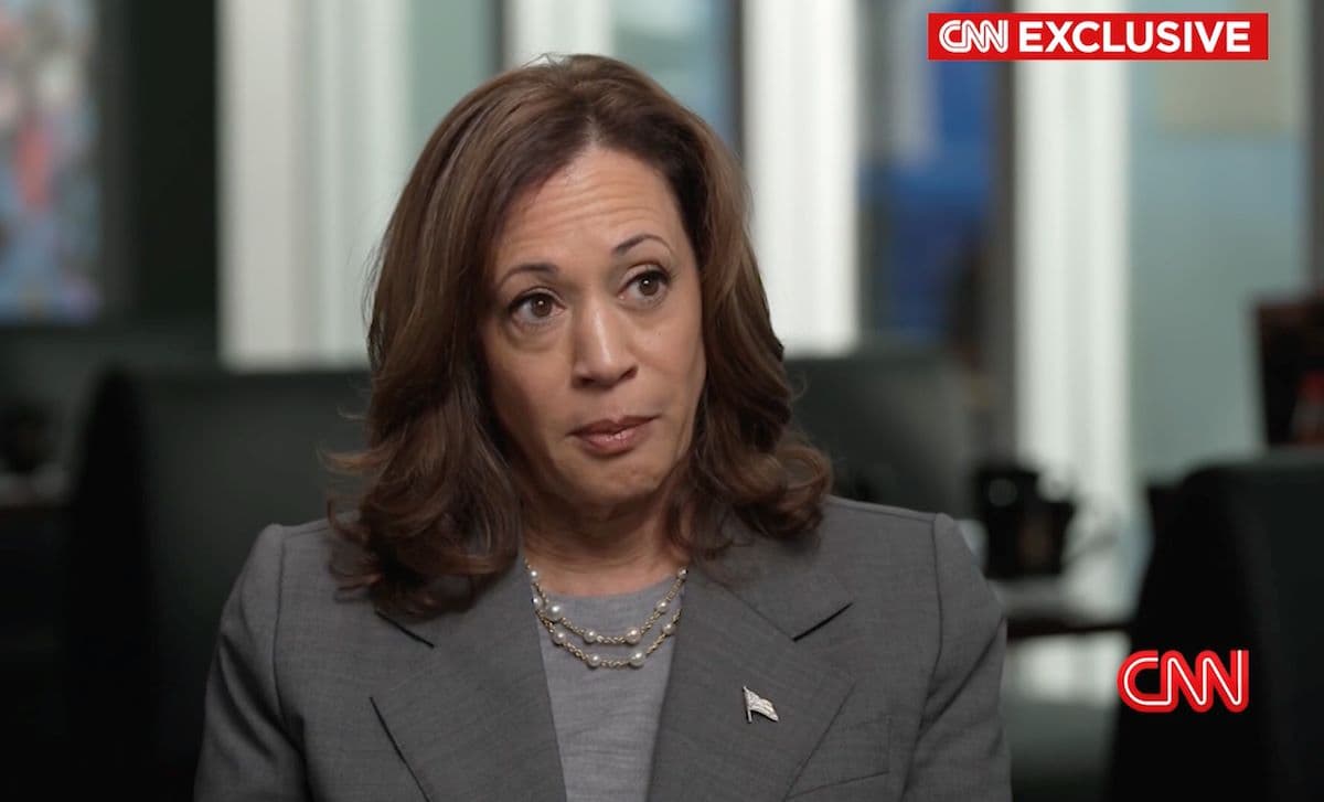 Kamala Harris, "Lavorerò a sostegno del ceto medio e nella mia amministrazione ci sarà anche un repubblicano"
