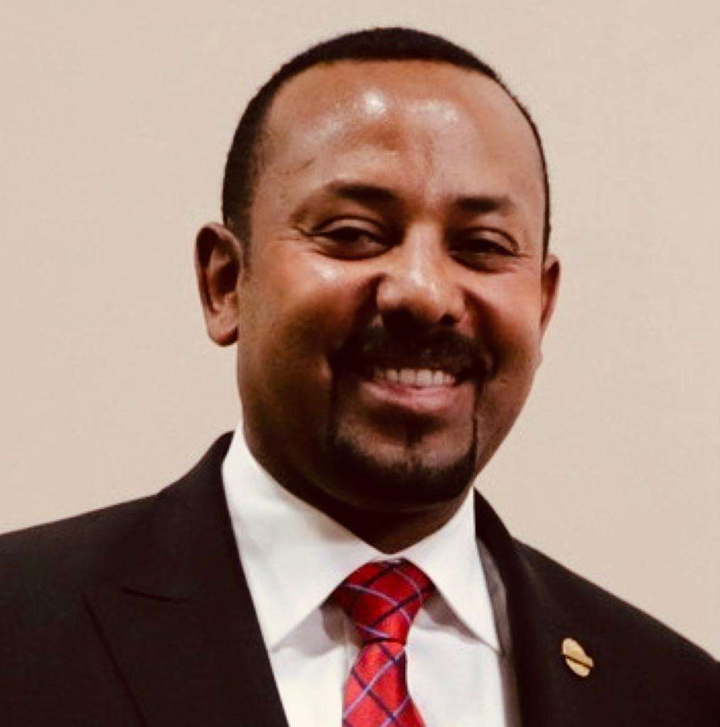 Thousands of Fleeing TPLF Militias Surrender to Eritrean Army